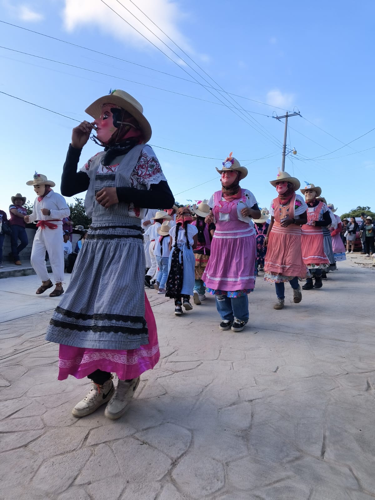 Realizan el primer encuentro de mascaritas en Tamazola